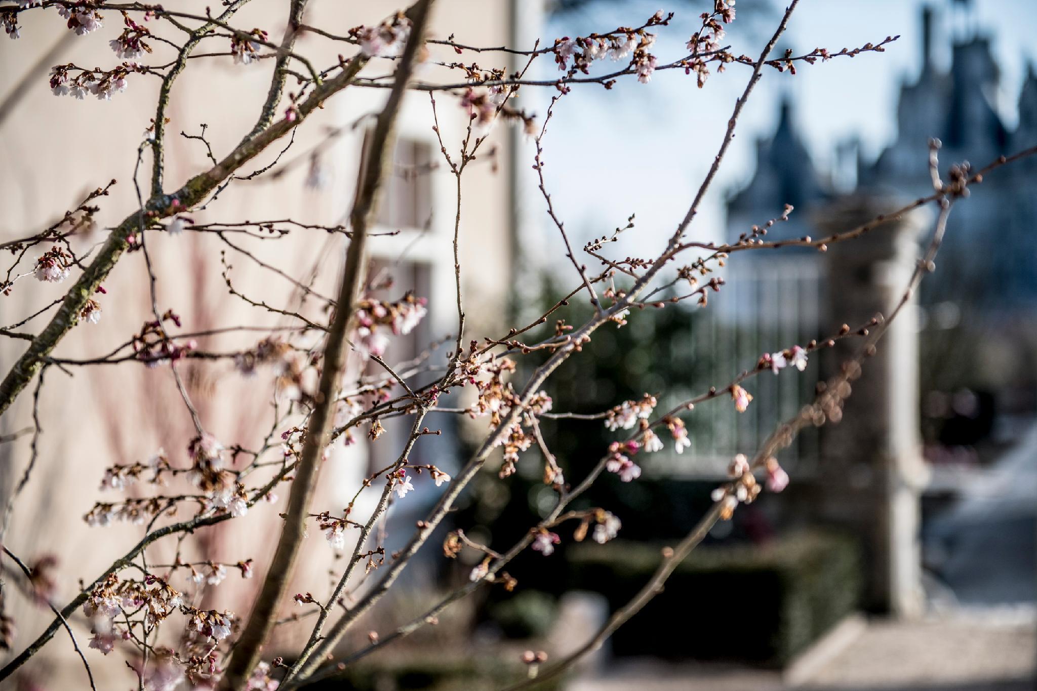 Relais De Chambord - Small Luxury Hotels Of The World Екстер'єр фото